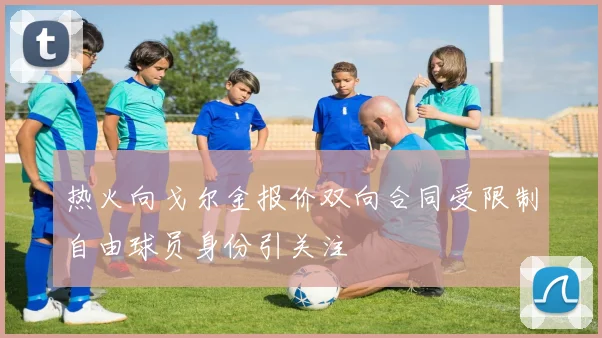 热火向戈尔金报价双向合同受限制自由球员身份引关注