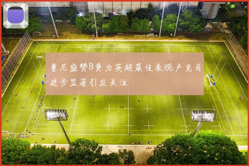 鲁尼盛赞B费为英超最佳表现卢克肖进步显著引发关注